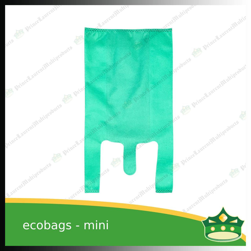 [50 pcs] eco bag ecobag biodegradable sando bag reusable & environment friendly bag