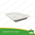 [25 pcs] bagasse paper tray rectangular 6x9 inches fruit tray as grocery packaging, fruit repacking, vegetable repacking, meat repackaging, frozen products repacking, produce packing