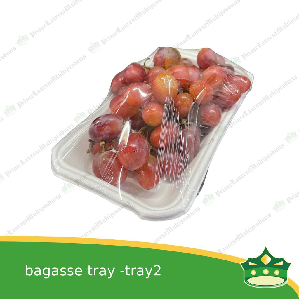 [25 pcs] bagasse paper tray rectangle 4x7 inches fruit tray as grocery packaging, fruit repacking, vegetable repacking, meat repackaging, frozen products repacking, produce packing