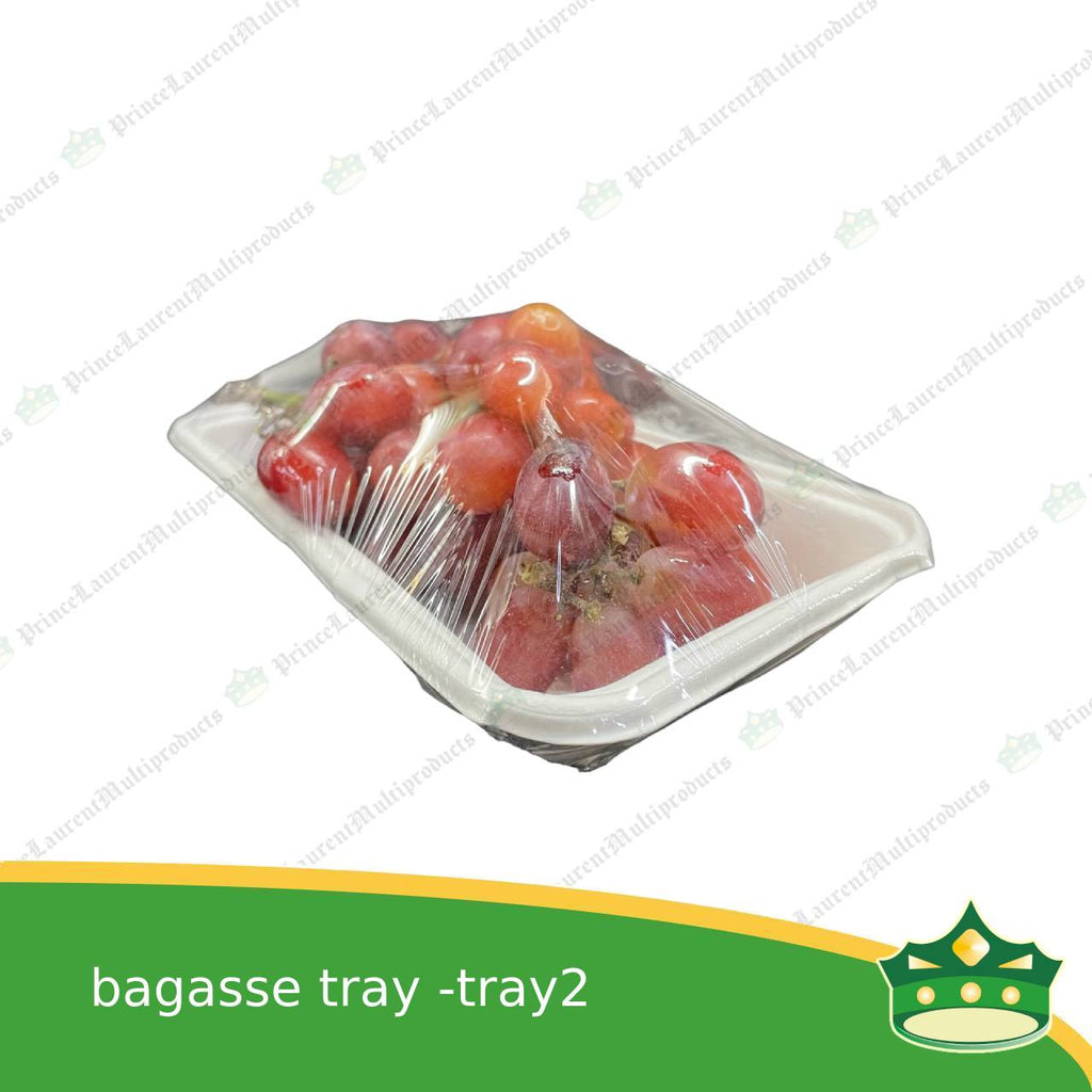 [25 pcs] bagasse paper tray rectangle 4x7 inches fruit tray as grocery packaging, fruit repacking, vegetable repacking, meat repackaging, frozen products repacking, produce packing