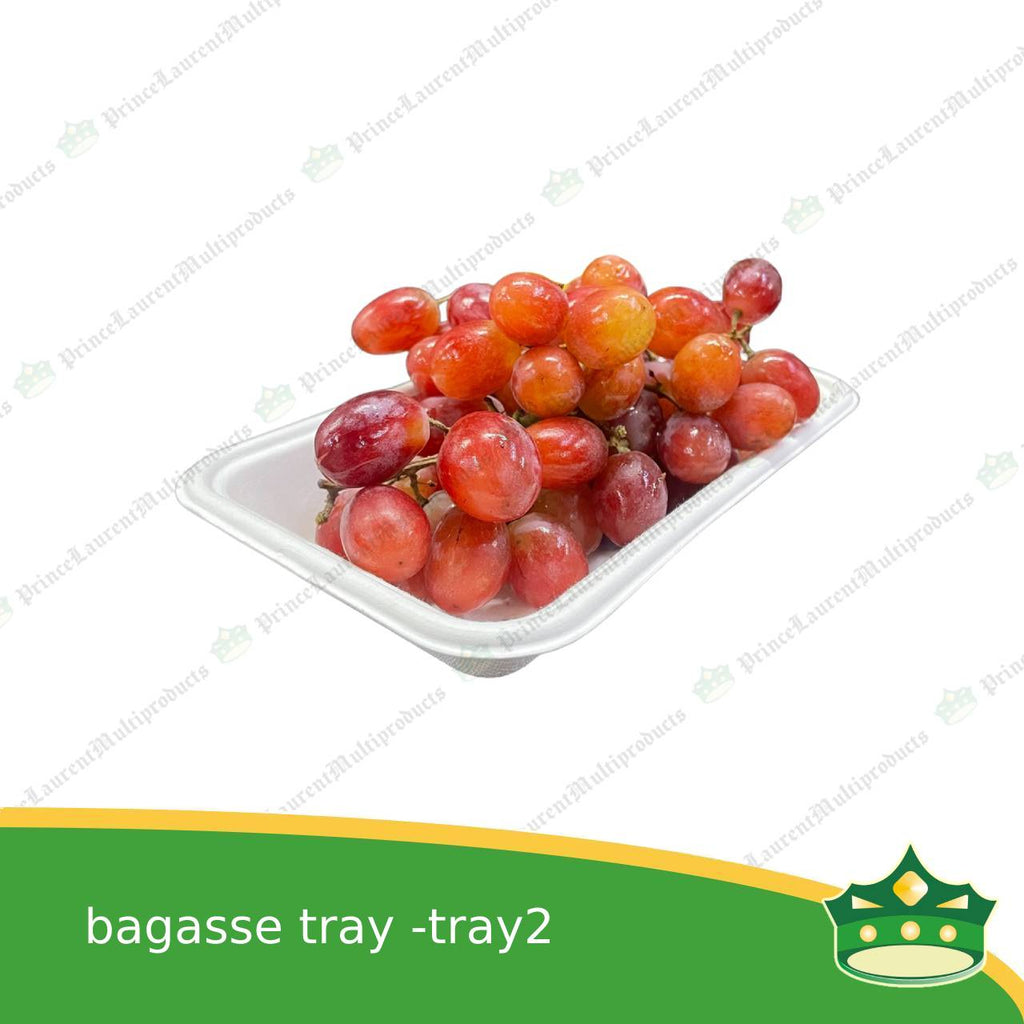 [25 pcs] bagasse paper tray rectangle 4x7 inches fruit tray as grocery packaging, fruit repacking, vegetable repacking, meat repackaging, frozen products repacking, produce packing