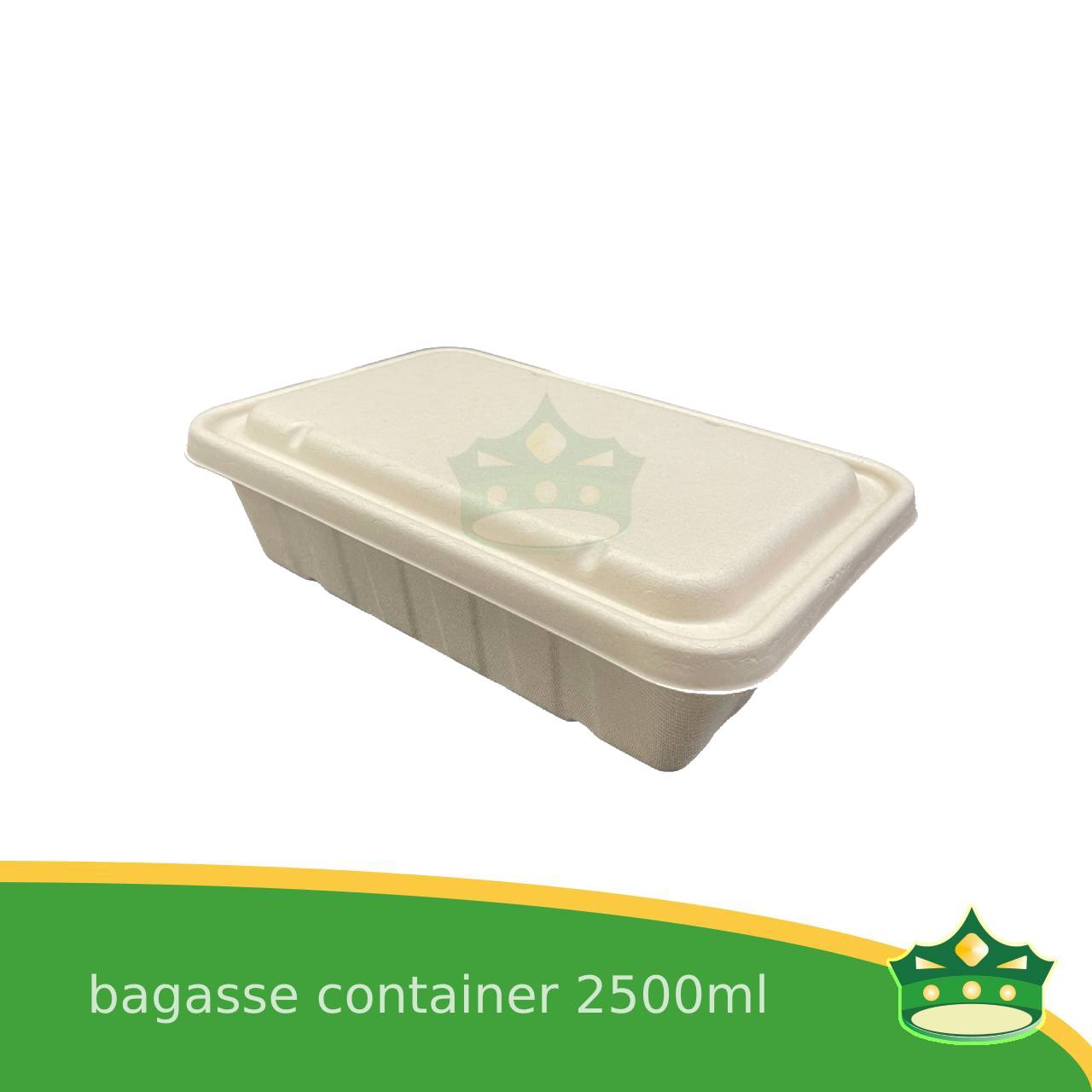 [10 pcs] bagasse rectangular containers with lid for eco-friendly alternative on food take-outs