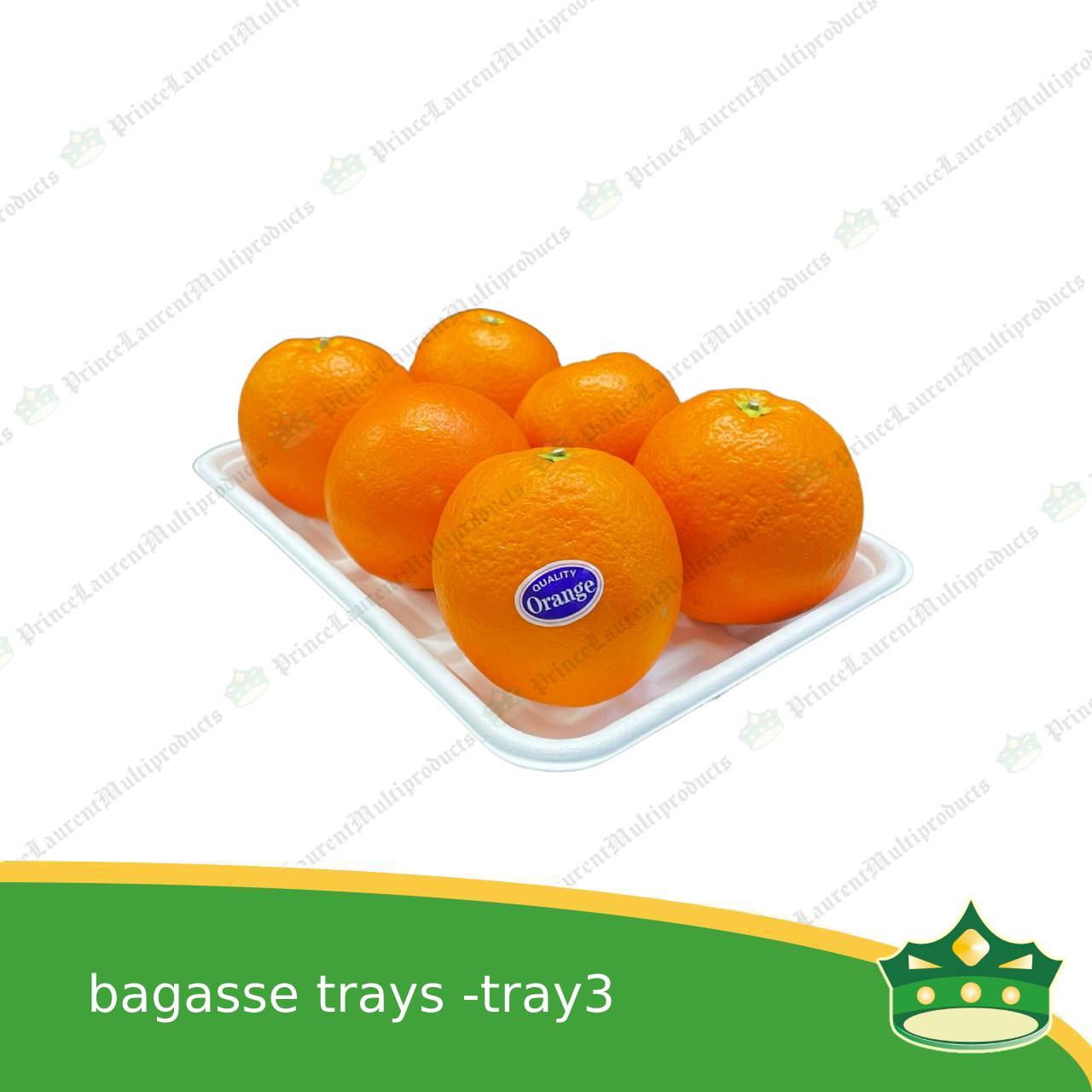[25 pcs] bagasse paper tray rectangular 6x9 inches fruit tray as grocery packaging, fruit repacking, vegetable repacking, meat repackaging, frozen products repacking, produce packing