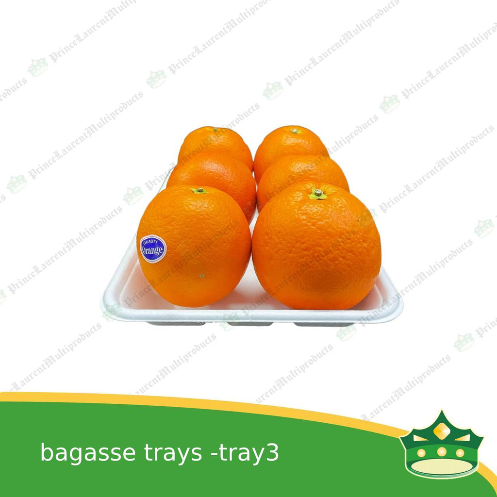 [25 pcs] bagasse paper tray rectangular 6x9 inches fruit tray as grocery packaging, fruit repacking, vegetable repacking, meat repackaging, frozen products repacking, produce packing