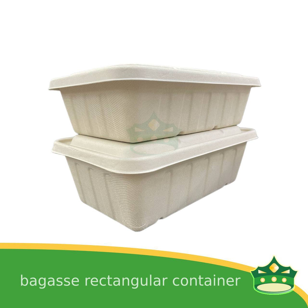 [10 pcs] bagasse rectangular containers with lid for eco-friendly alternative on food take-outs