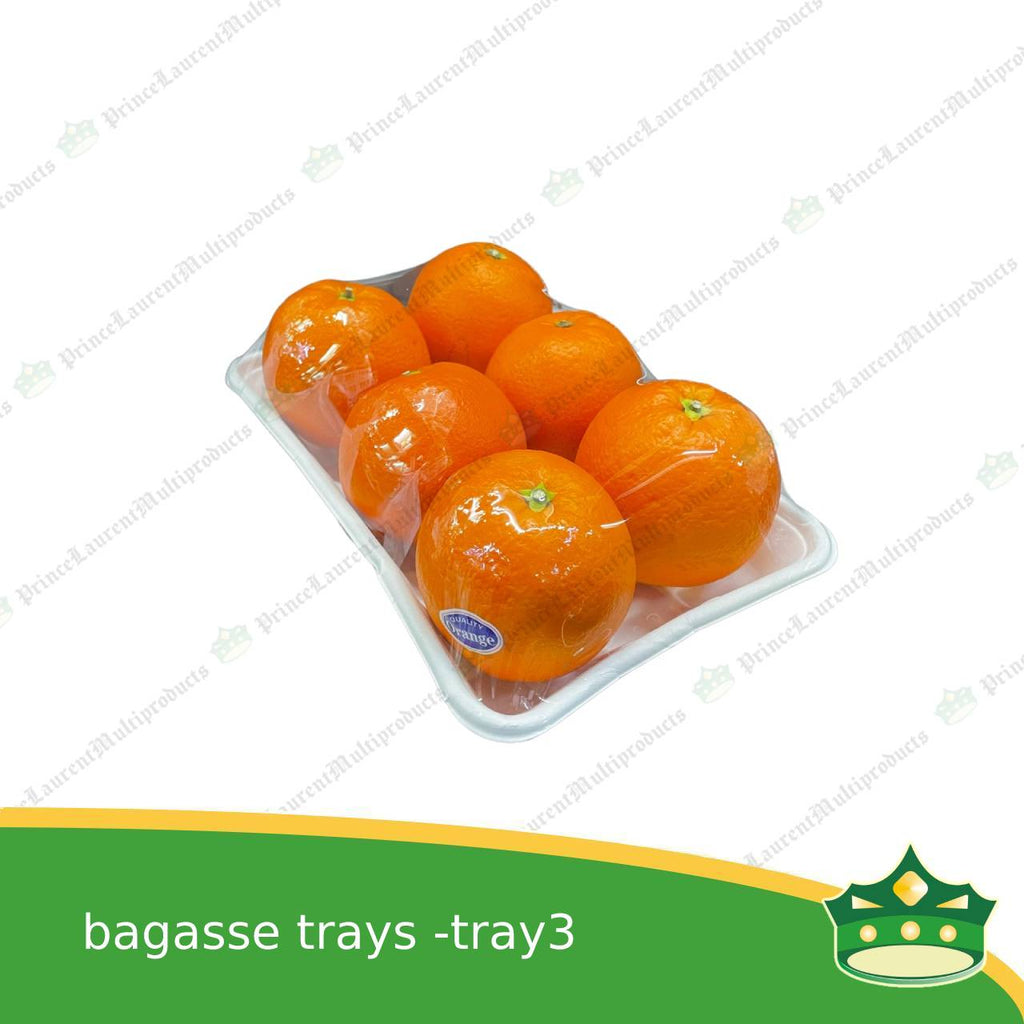 [25 pcs] bagasse paper tray rectangular 6x9 inches fruit tray as grocery packaging, fruit repacking, vegetable repacking, meat repackaging, frozen products repacking, produce packing