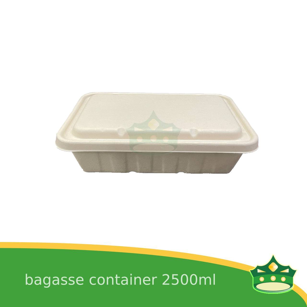 [10 pcs] bagasse rectangular containers with lid for eco-friendly alternative on food take-outs