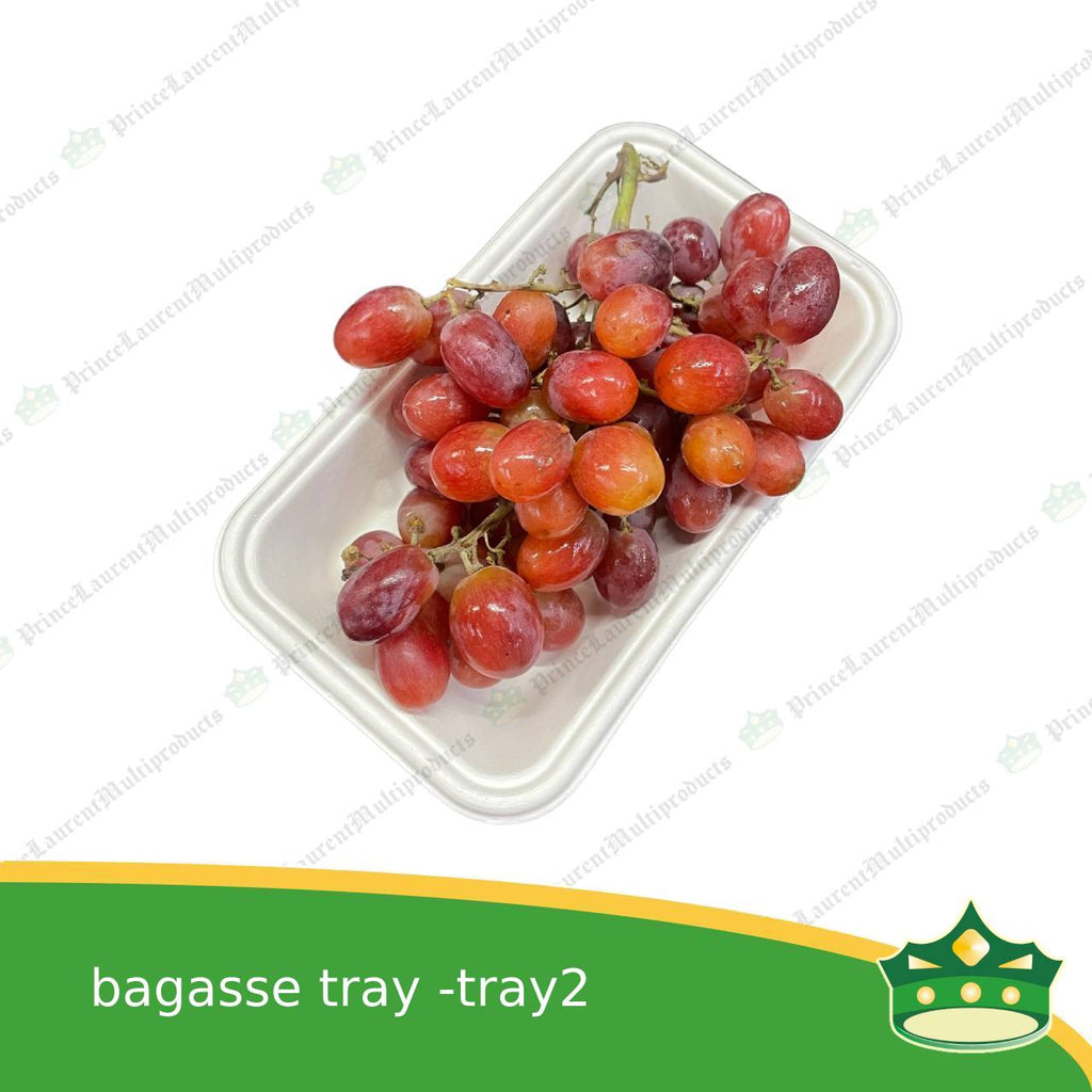[25 pcs] bagasse paper tray rectangle 4x7 inches fruit tray as grocery packaging, fruit repacking, vegetable repacking, meat repackaging, frozen products repacking, produce packing