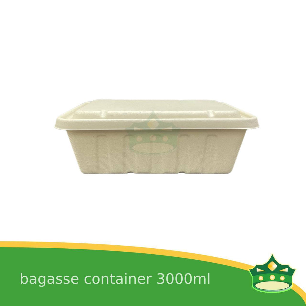 [10 pcs] bagasse rectangular containers with lid for eco-friendly alternative on food take-outs