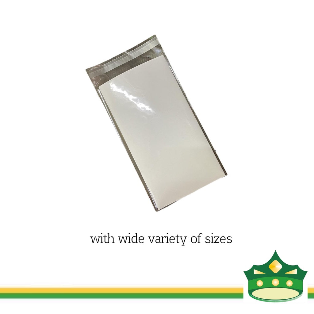 [100 pcs] opp bags with adhesive