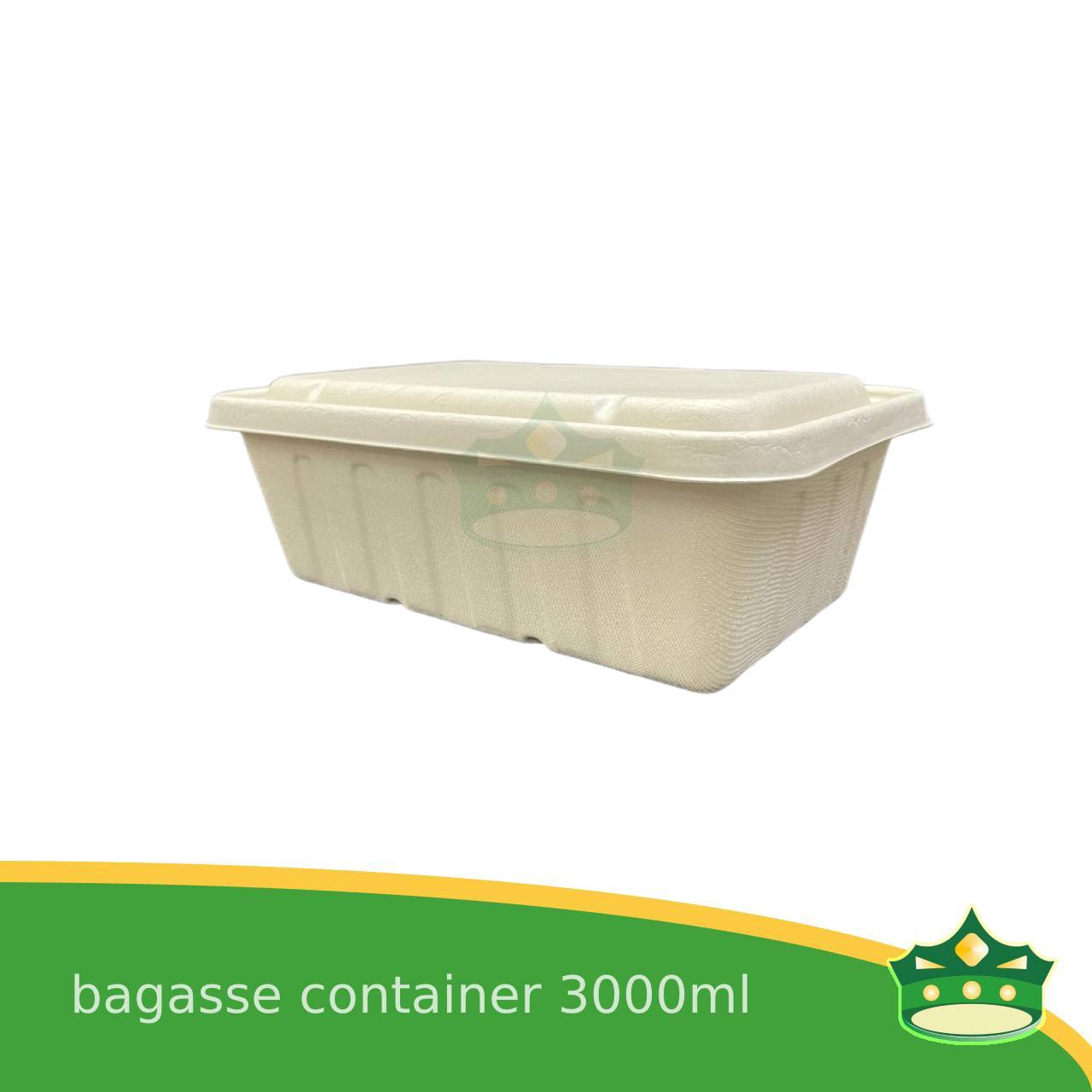 [10 pcs] bagasse rectangular containers with lid for eco-friendly alternative on food take-outs