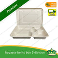 [50 pcs] bagasse bento box 5 division with lid for eco-friendly alternative on food take-outs, packed meals
