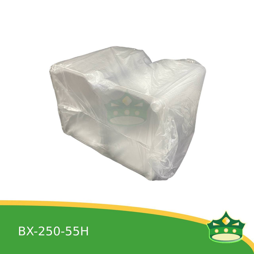 [50 pcs] fruit / vegetables container OPS clear BX-250-55H